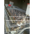 BAIYI Fábrica Hot Sale Wire Mesh Quail Cells Com Waterer Automatic